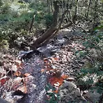 Wiesenblick בית נופש