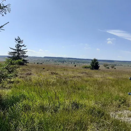 Wiesenblick بيت للعطل *