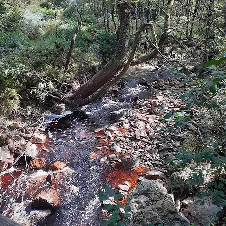 Wiesenblick Casa de Férias