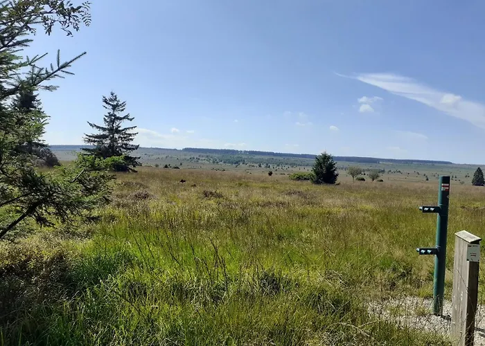 Wiesenblick Vakantiehuis *