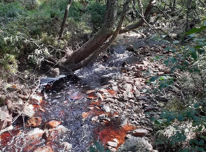 Wiesenblick Vakantiehuis