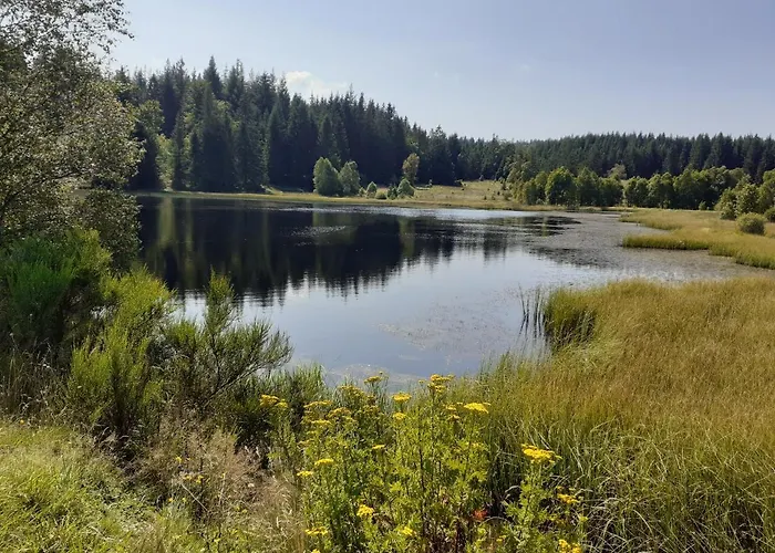 Wiesenblick Дом отдыха